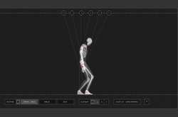 wireframe.swf