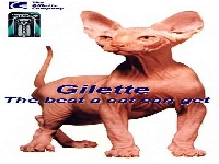 gilette.jpg