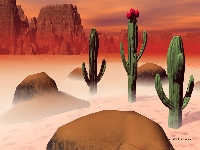 cactus.jpg